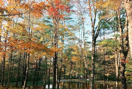 Historic Renovated Barn | At Boorn Brook Farm - Manchester Center, Vermont