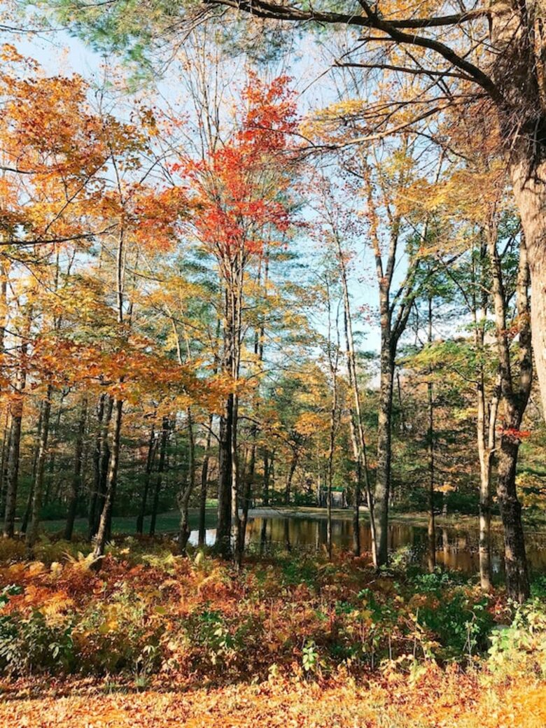 Historic Renovated Barn | At Boorn Brook Farm - Manchester Center, Vermont