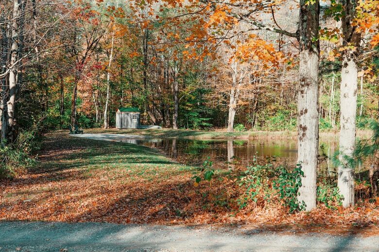 Historic Renovated Barn | At Boorn Brook Farm - Manchester Center, Vermont