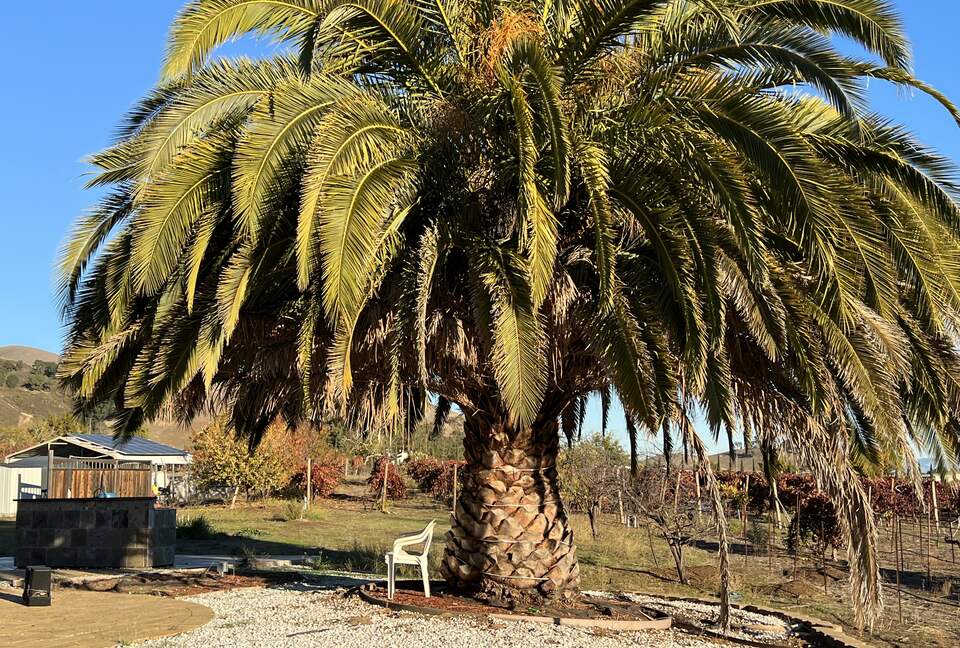 Vino Di Soma Stunning Tuscan Estate - Gilroy, California