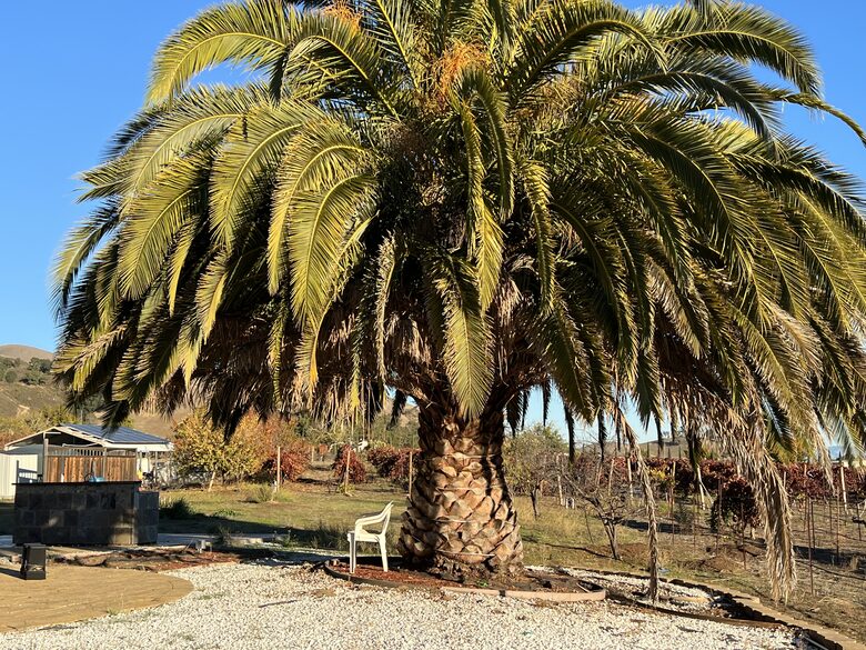 Vino Di Soma Stunning Tuscan Estate - Gilroy, California