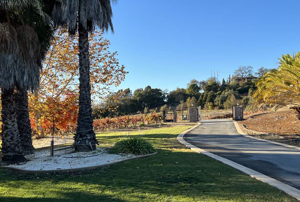 Vino Di Soma Stunning Tuscan Estate - Gilroy, California