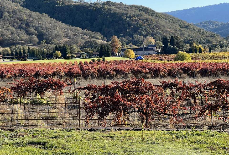 Vino Di Soma Stunning Tuscan Estate - Gilroy, California