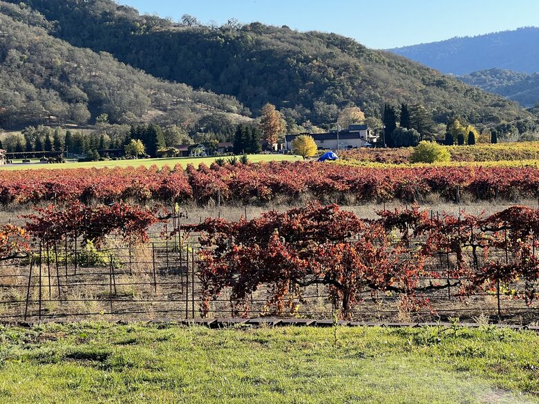Vino Di Soma Stunning Tuscan Estate - Gilroy, California