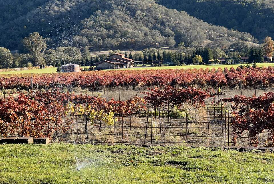Vino Di Soma Stunning Tuscan Estate - Gilroy, California