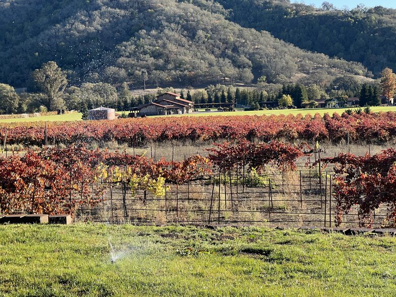 Vino Di Soma Stunning Tuscan Estate - Gilroy, California
