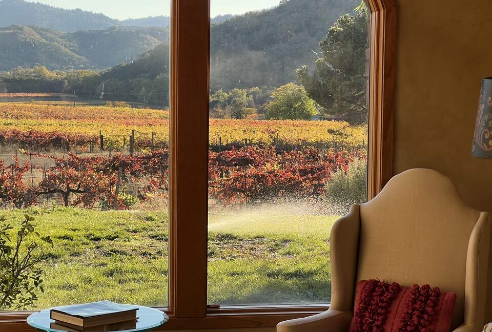 Vino Di Soma Stunning Tuscan Estate - Gilroy, California