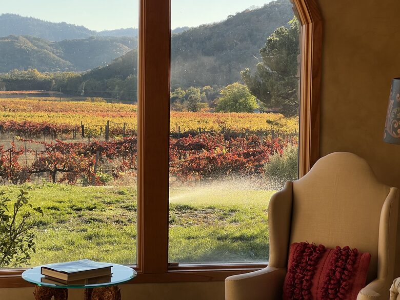 Vino Di Soma Stunning Tuscan Estate - Gilroy, California