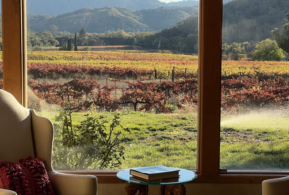 Vino Di Soma Stunning Tuscan Estate - Gilroy, California