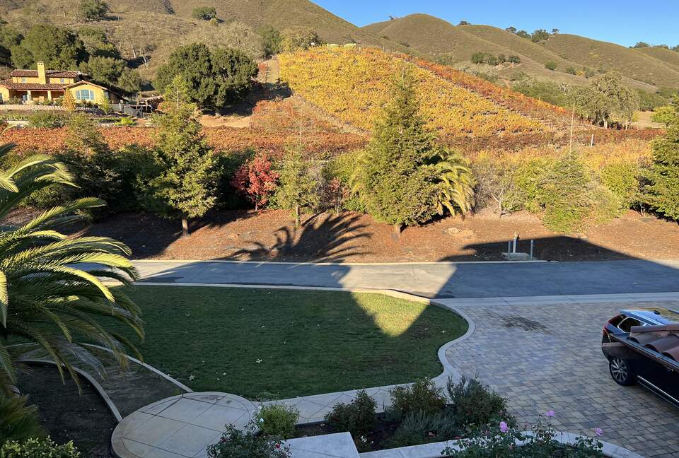 Vino Di Soma Stunning Tuscan Estate - Gilroy, California