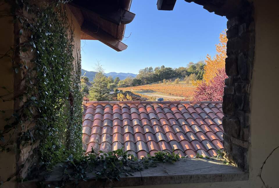 Vino Di Soma Stunning Tuscan Estate - Gilroy, California