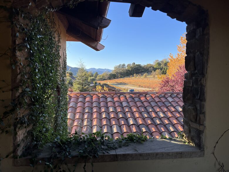 Vino Di Soma Stunning Tuscan Estate - Gilroy, California