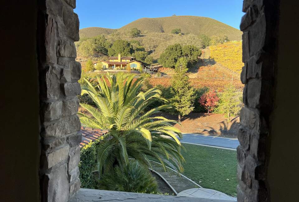 Vino Di Soma Stunning Tuscan Estate - Gilroy, California