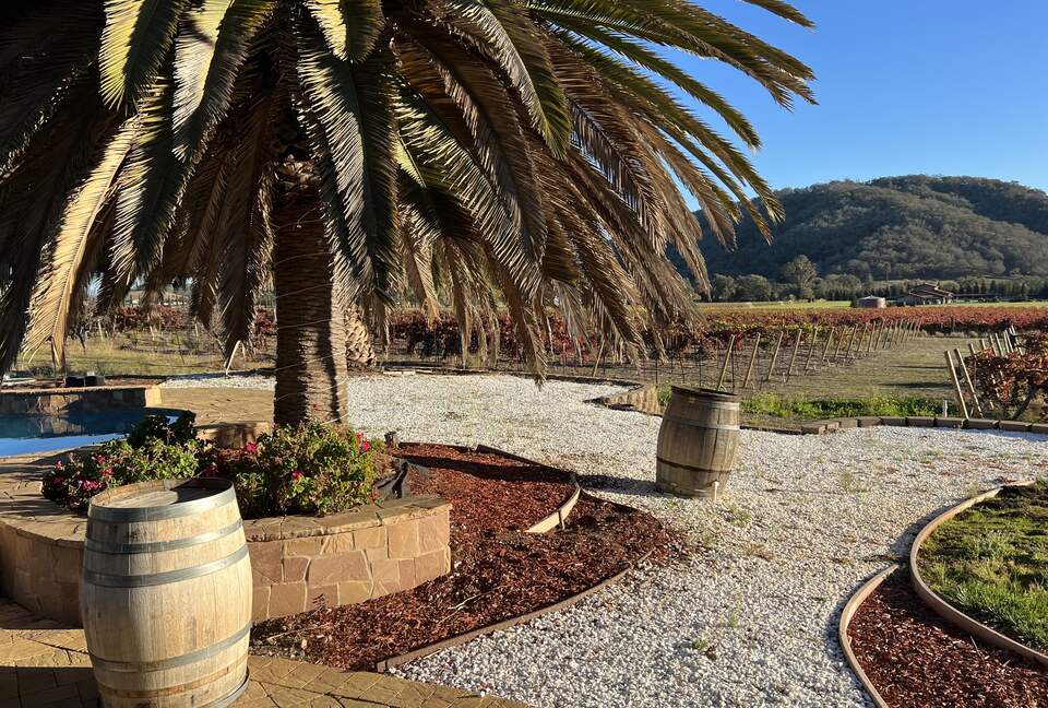 Vino Di Soma Stunning Tuscan Estate - Gilroy, California