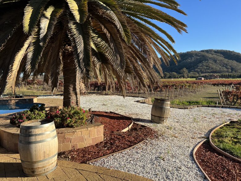 Vino Di Soma Stunning Tuscan Estate - Gilroy, California