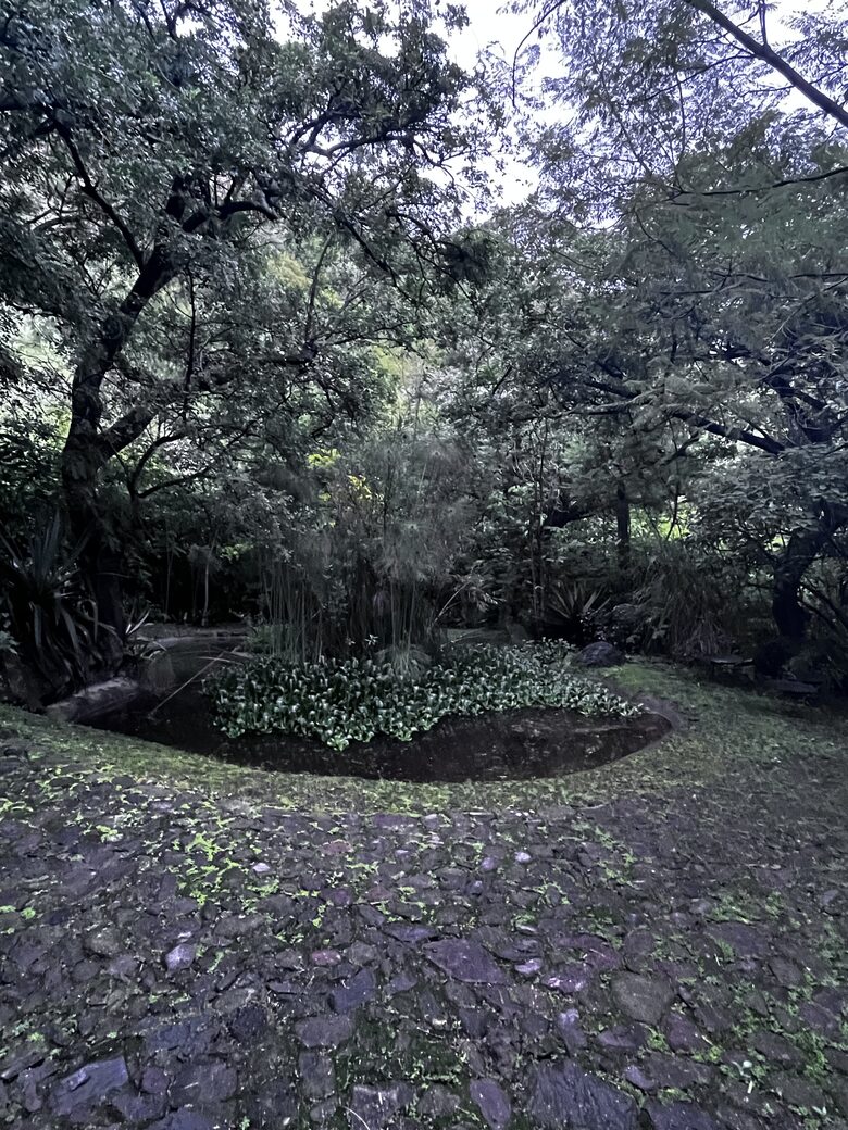 Modern Mexican | Meditarrean style with a Pickleball court, outdoor activities & near cultural sites - Malinalco, Mexico
