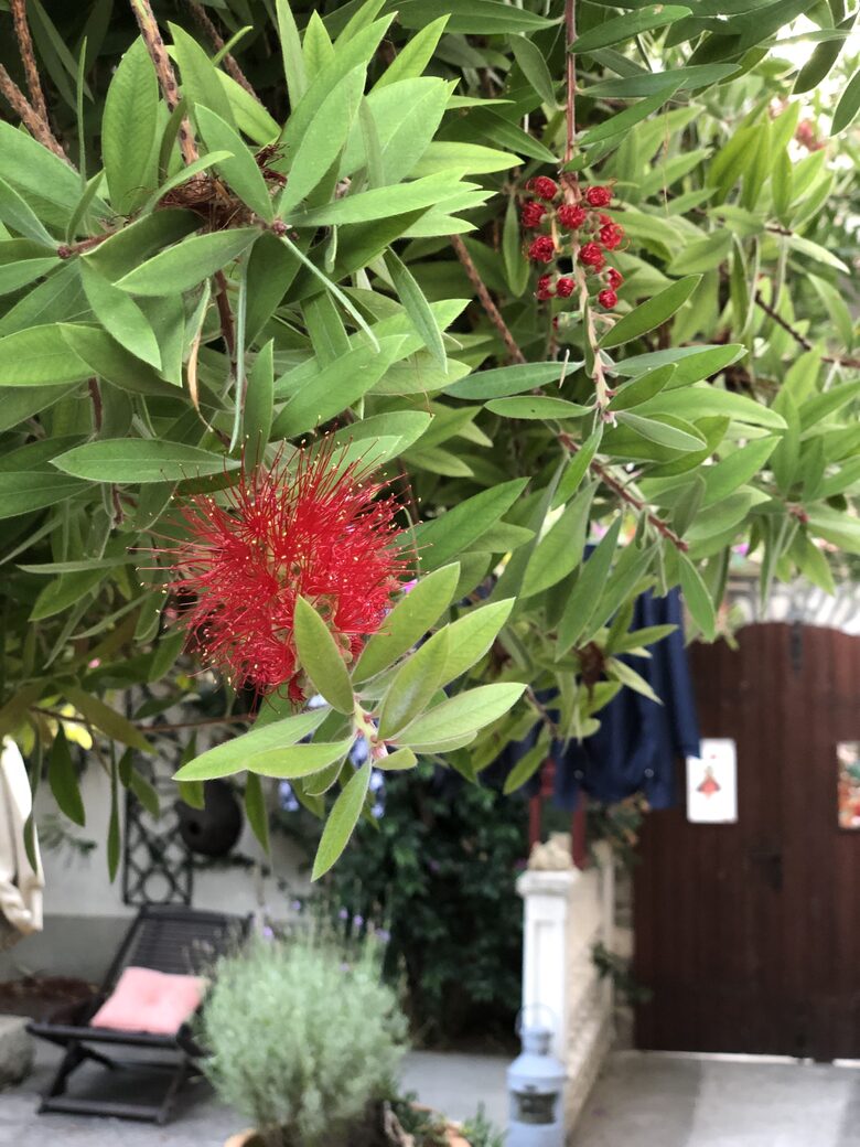 Vila Nona | Authentic STONE HOUSE by NYC designer - Susak, Croatia