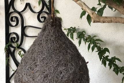 Vila Nona | Authentic STONE HOUSE by NYC designer - Susak, Croatia