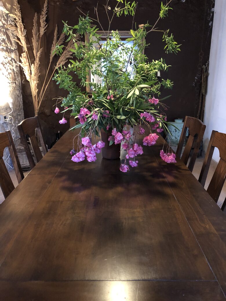 Vila Nona | Authentic STONE HOUSE by NYC designer - Susak, Croatia