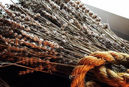 Vila Nona | Authentic STONE HOUSE by NYC designer - Susak, Croatia