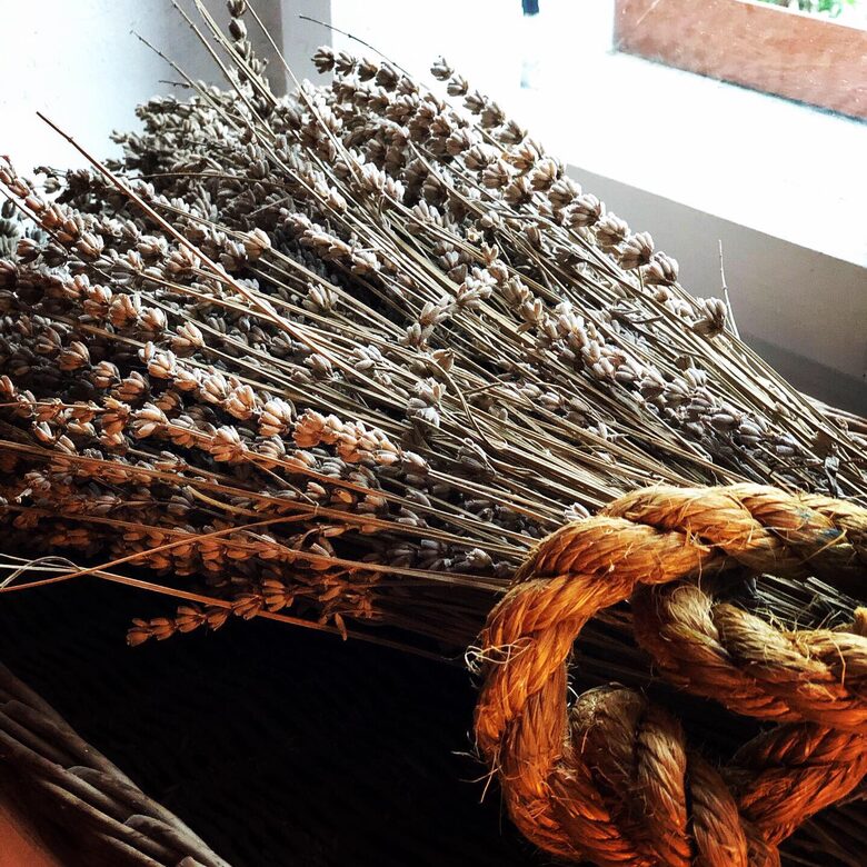 Vila Nona | Authentic STONE HOUSE by NYC designer - Susak, Croatia