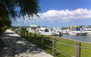 Yacht Harbor at Wild Dunes - Isle of Palms, South Carolina