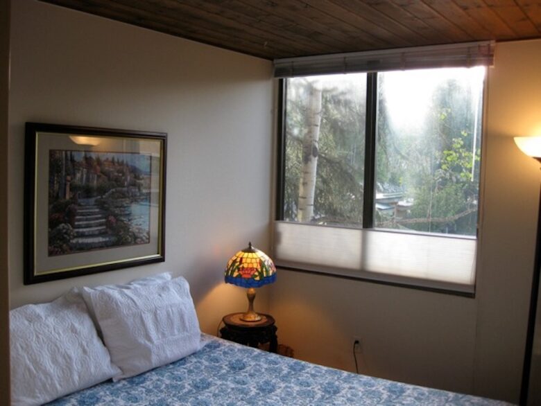 Aspen Riverfront - Aspen, Colorado