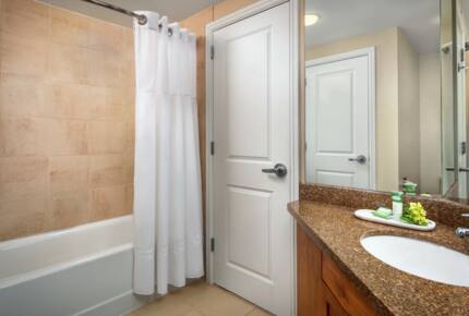 Marriott’s Streamside Evergreen at Vail 2-Bedroom Getaway - Vail, Colorado