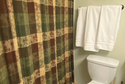 Family Friendly Cabin just 5 mins drive to Suncadia resort, 25 mins drive to Snoqualmie for skiing - Ronald, Washington