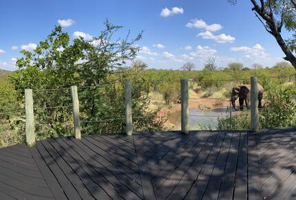 Lubberust Safari Lodge - Tuli Block, Botswana