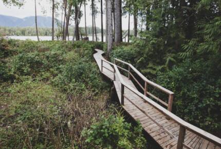 Rainforest Waterfront Gem on Jensen's Bay - Tofino, Canada