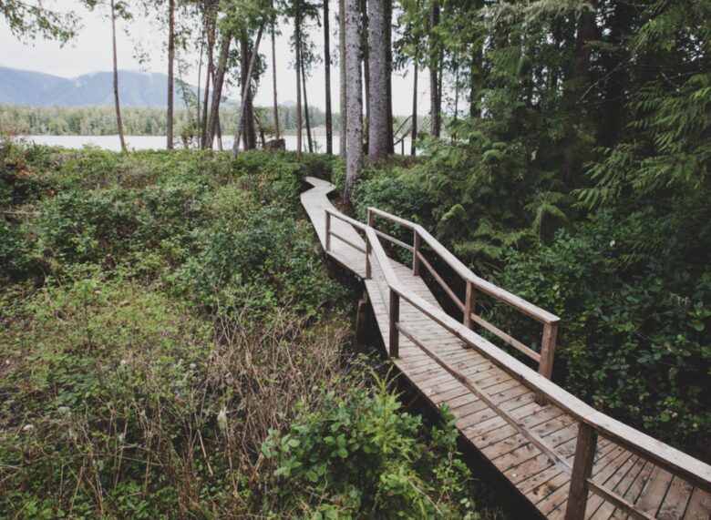 Rainforest Waterfront Gem on Jensen's Bay - Tofino, Canada