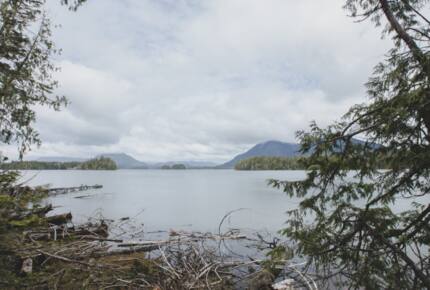 Rainforest Waterfront Gem on Jensen's Bay - Tofino, Canada