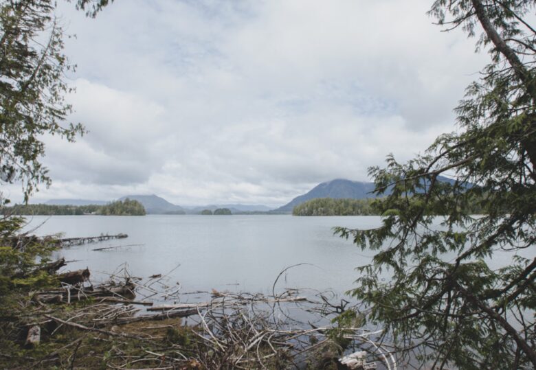 Rainforest Waterfront Gem on Jensen's Bay - Tofino, Canada