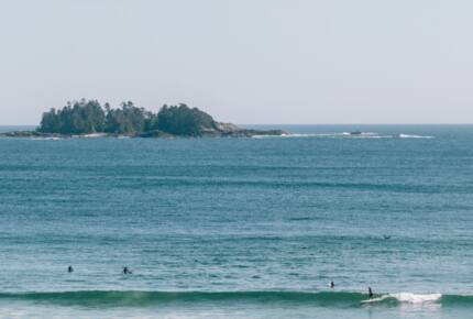 Rainforest Waterfront Gem on Jensen's Bay - Tofino, Canada