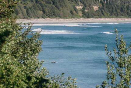 Rainforest Waterfront Gem on Jensen's Bay - Tofino, Canada