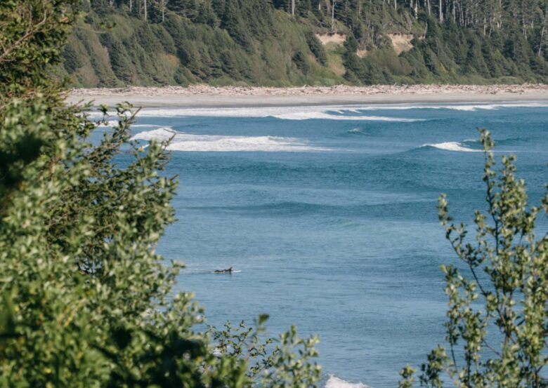 Rainforest Waterfront Gem on Jensen's Bay - Tofino, Canada