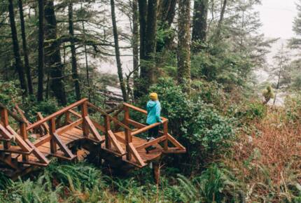 Rainforest Waterfront Gem on Jensen's Bay - Tofino, Canada
