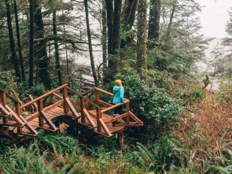 Rainforest Waterfront Gem on Jensen's Bay - Tofino, Canada