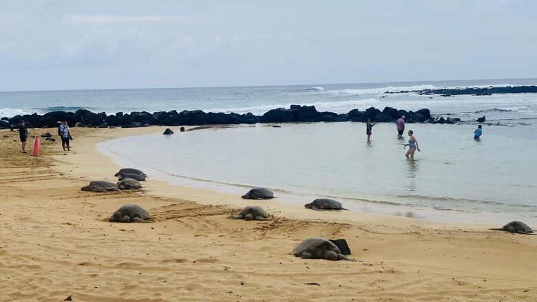 Lawai Beach Resort | Coral Two-Bedroom Residence - Koloa, Hawaii