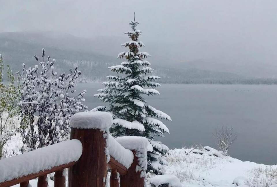 Wonderwood - Grand Lake, Colorado