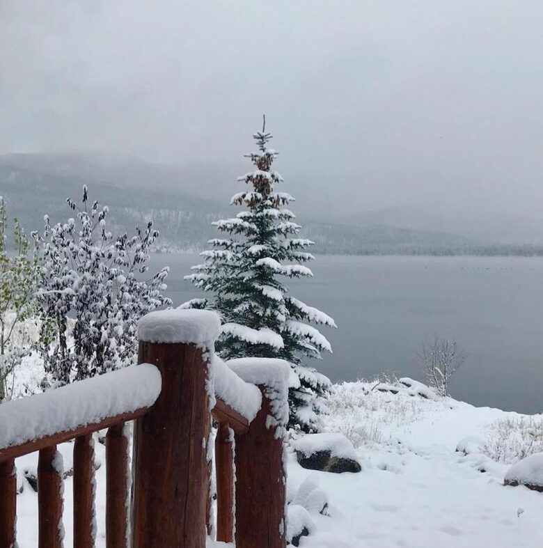 Wonderwood - Grand Lake, Colorado