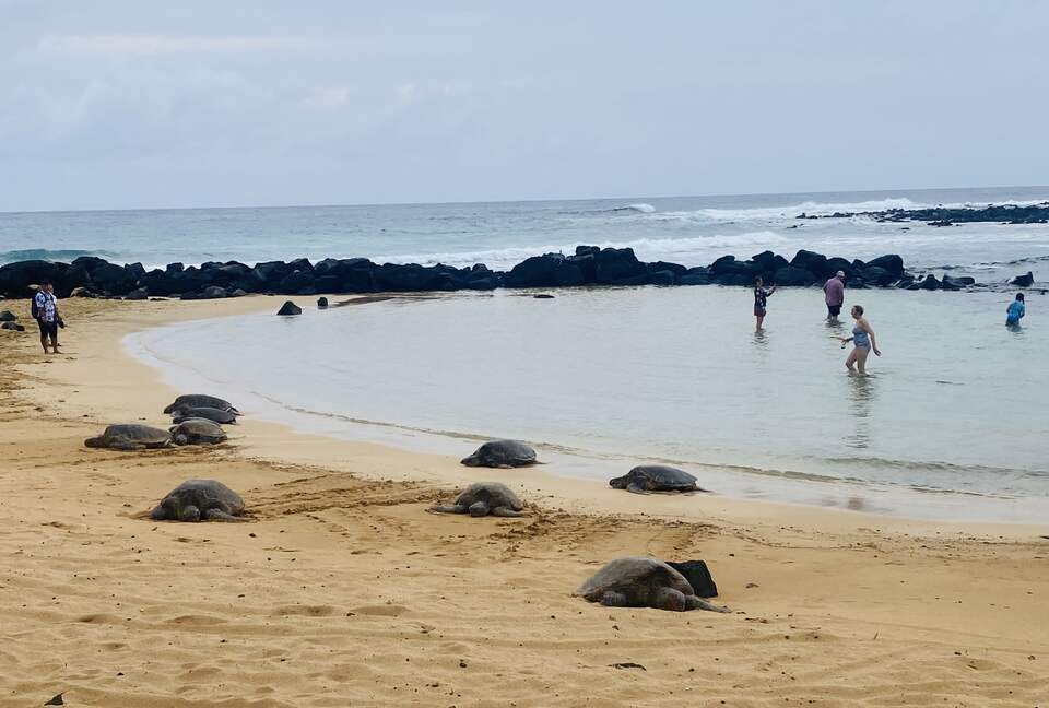 Lawai Beach Resort | Banyon One-Bedroom Residence - Koloa, Hawaii