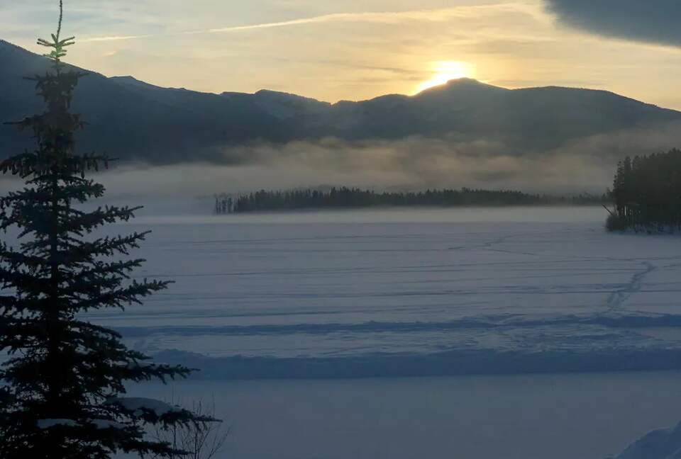 Wonderwood - Grand Lake, Colorado