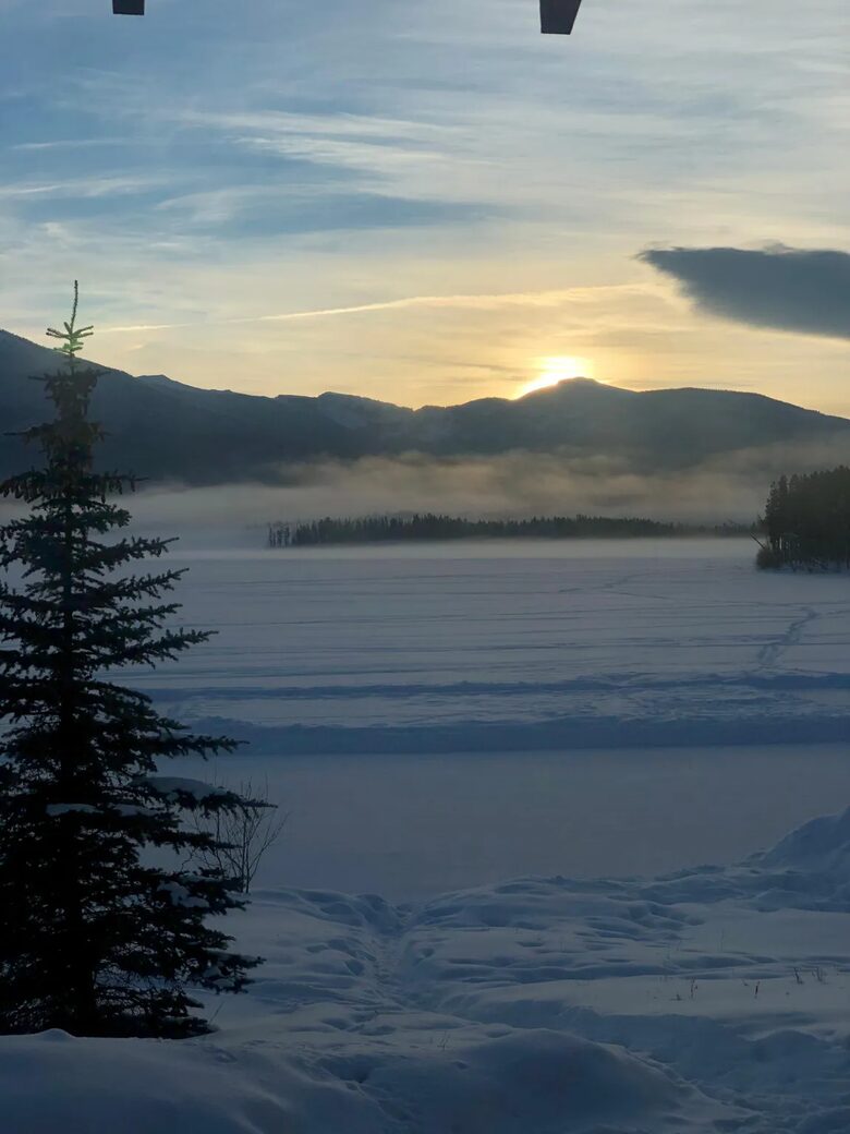 Wonderwood - Grand Lake, Colorado