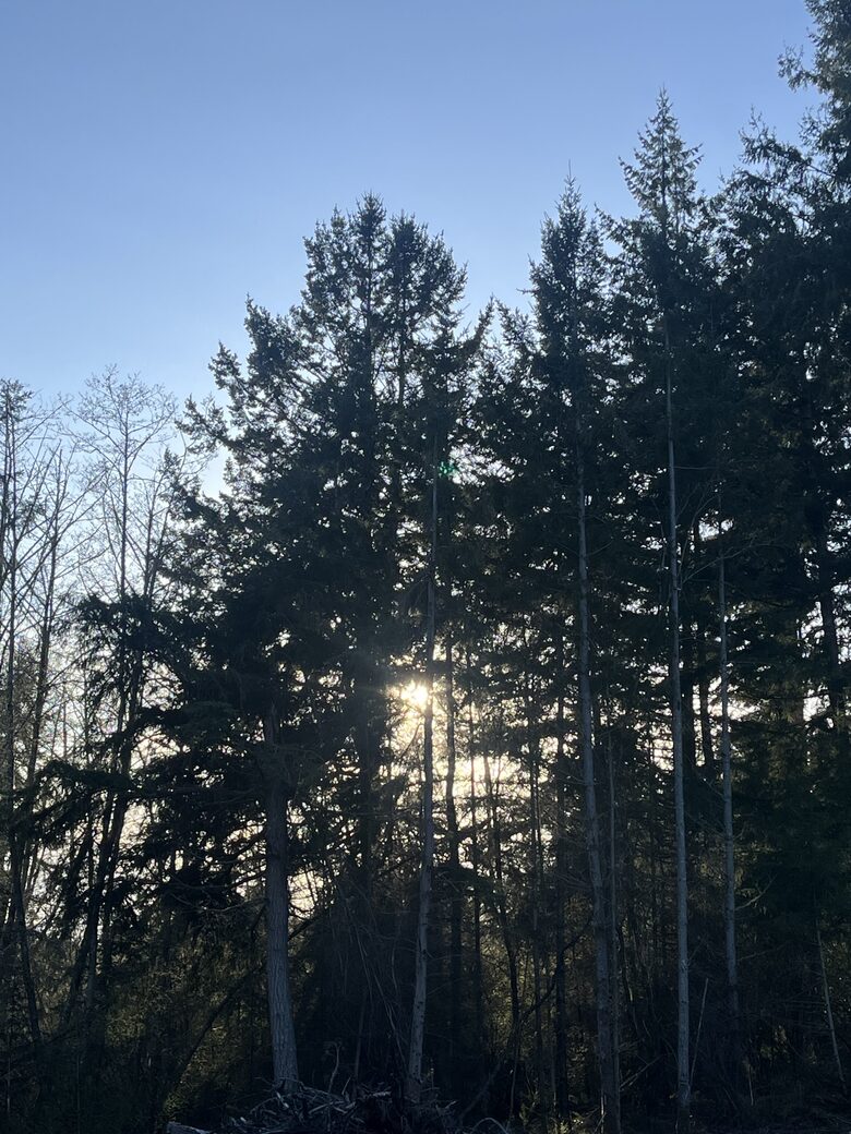 FourC Ranch | With Hot Tub on 10 Acres - Clinton, Washington