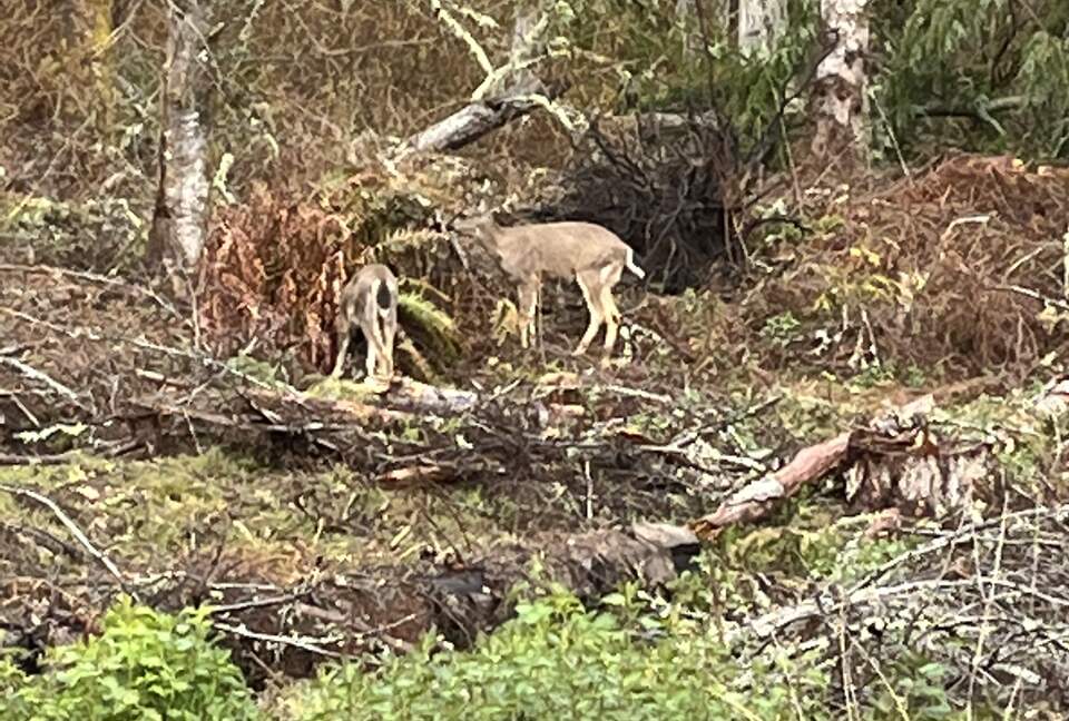 FourC Ranch | With Hot Tub on 10 Acres - Clinton, Washington