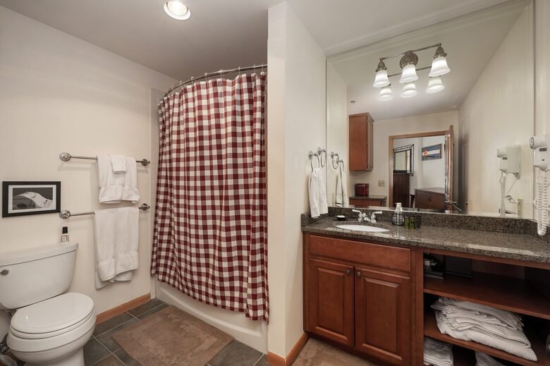 Bathroom 2, shower and tub