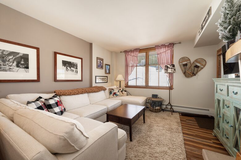 Living Room ski slope view