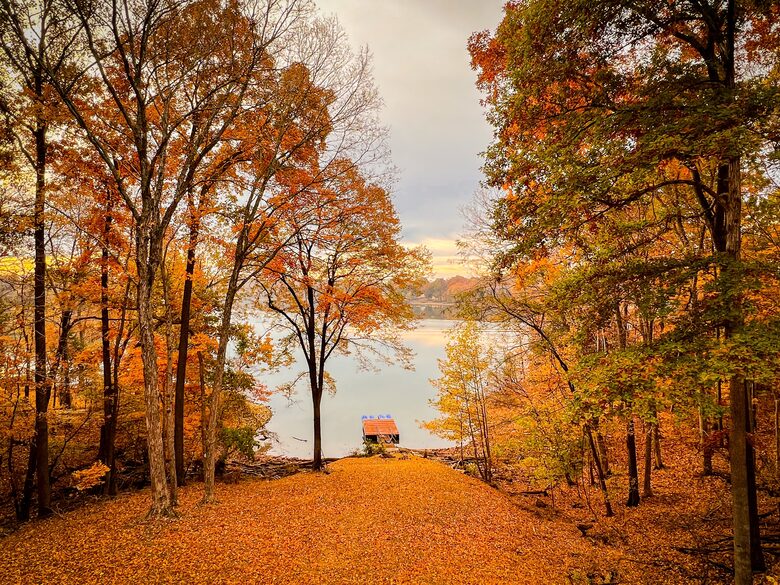 Lakefront Oasis on Lake Barkley; Just 2 Hours from Nashville! - Cadiz, Kentucky